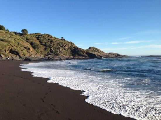 Parque Pedro del Rio Zanartu-康塞普西翁必去景点