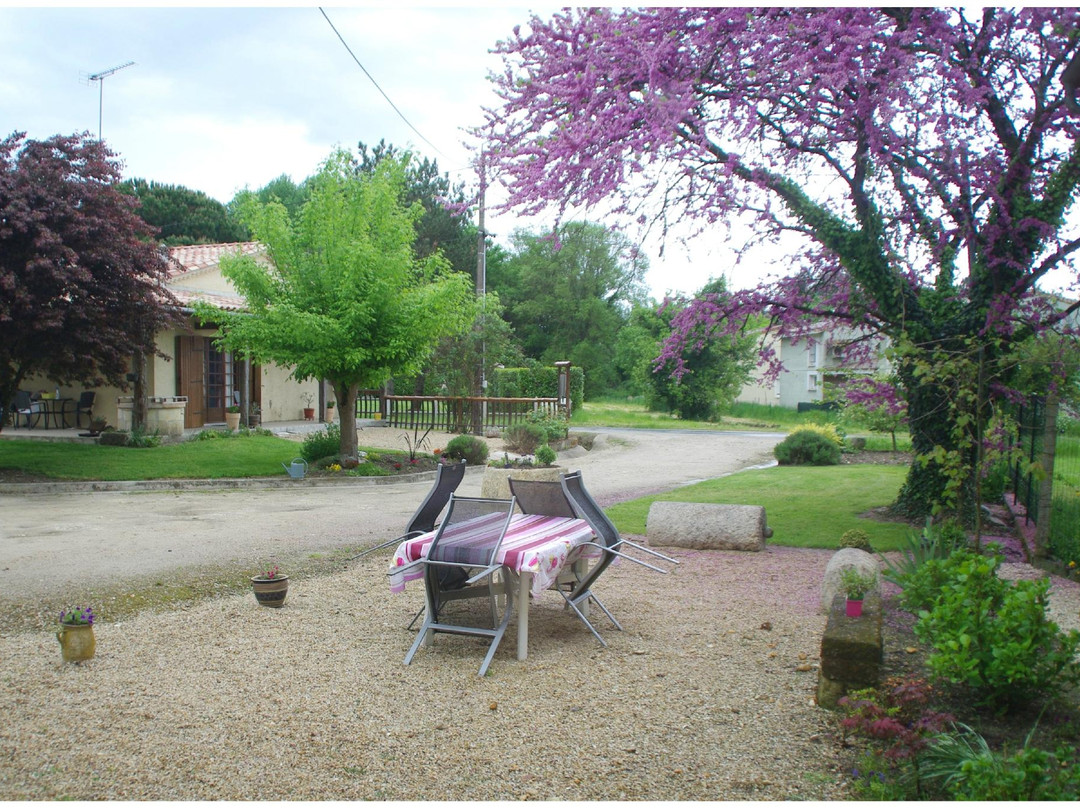 Chateau Miquelet主图