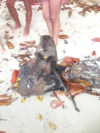 Nuditours-普吉镇必去景点