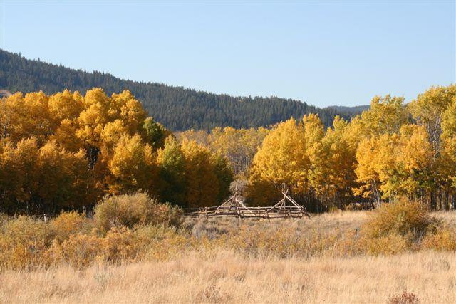 Pioneer Mountains Scenic Byway-Dillon必去景点