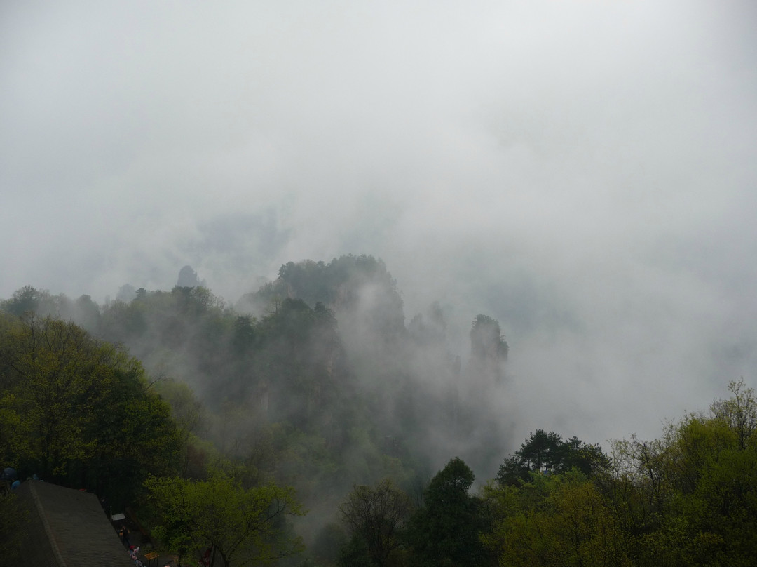 天子山云海-张家界市必去景点