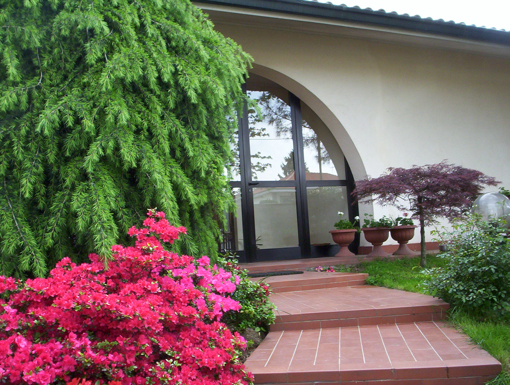 B&B Orchidea-官方