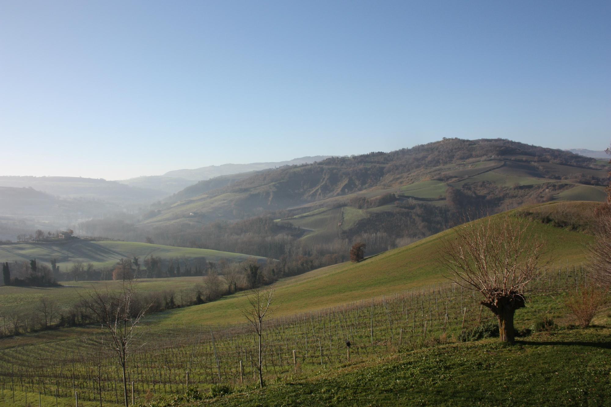 Agriturismo Il Sentiero-酒店景观
