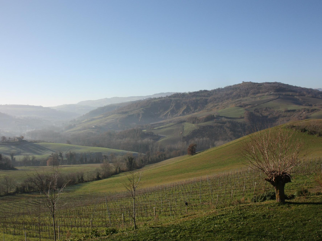 Agriturismo Il Sentiero主图