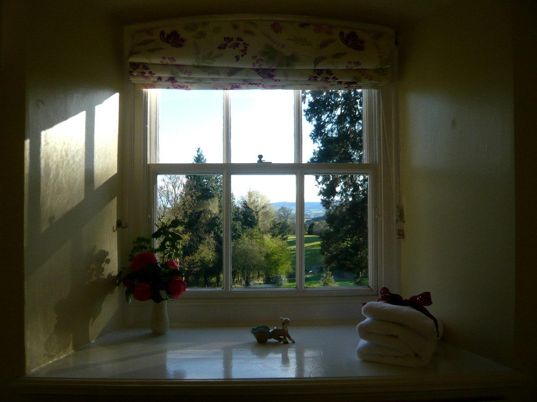 The Old Vicarage Bed & Breakfast主图