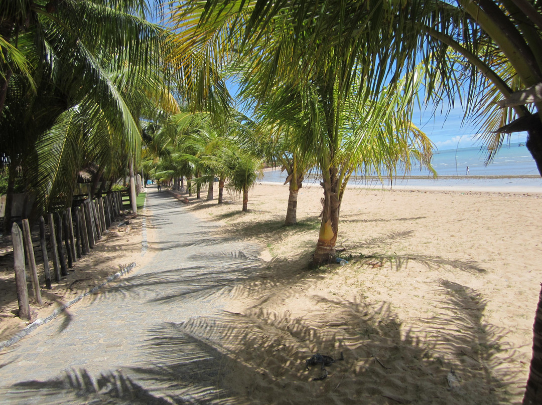 Praia de Japaratinga-Japaratinga必去景点