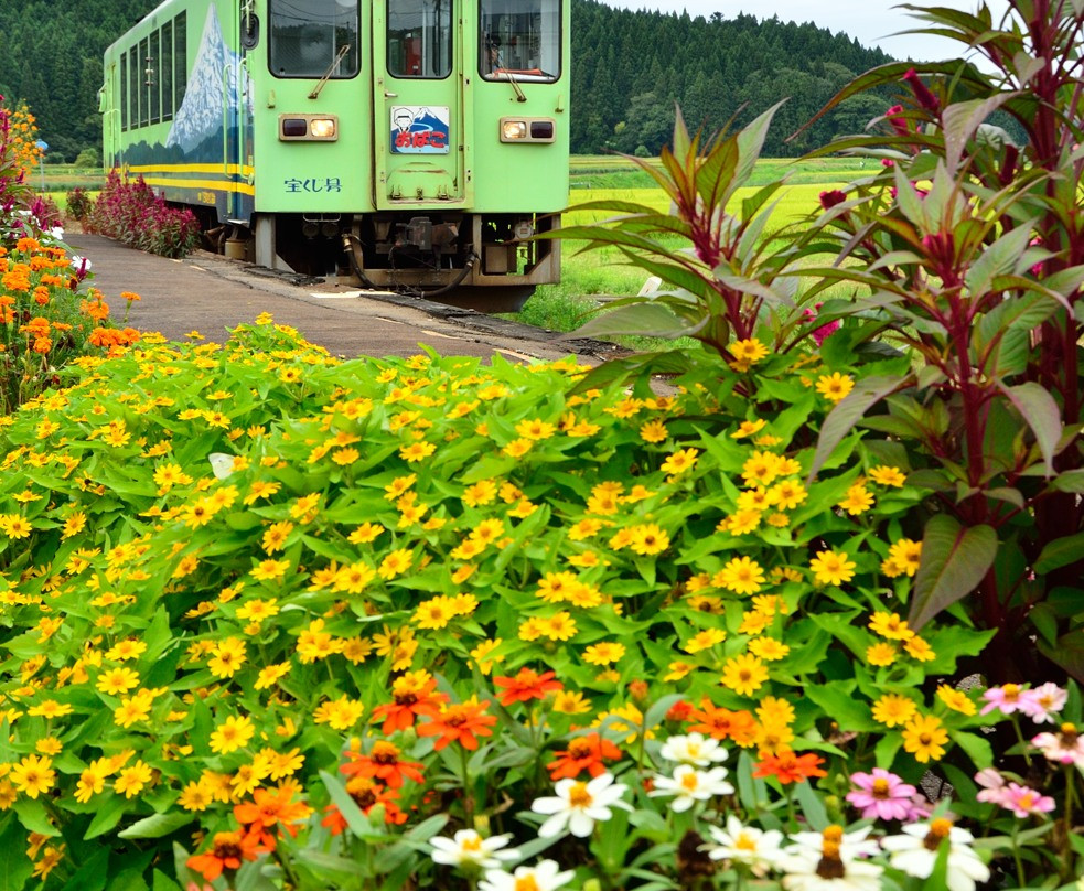 Yurikogen Railways-由利本庄市必去景点