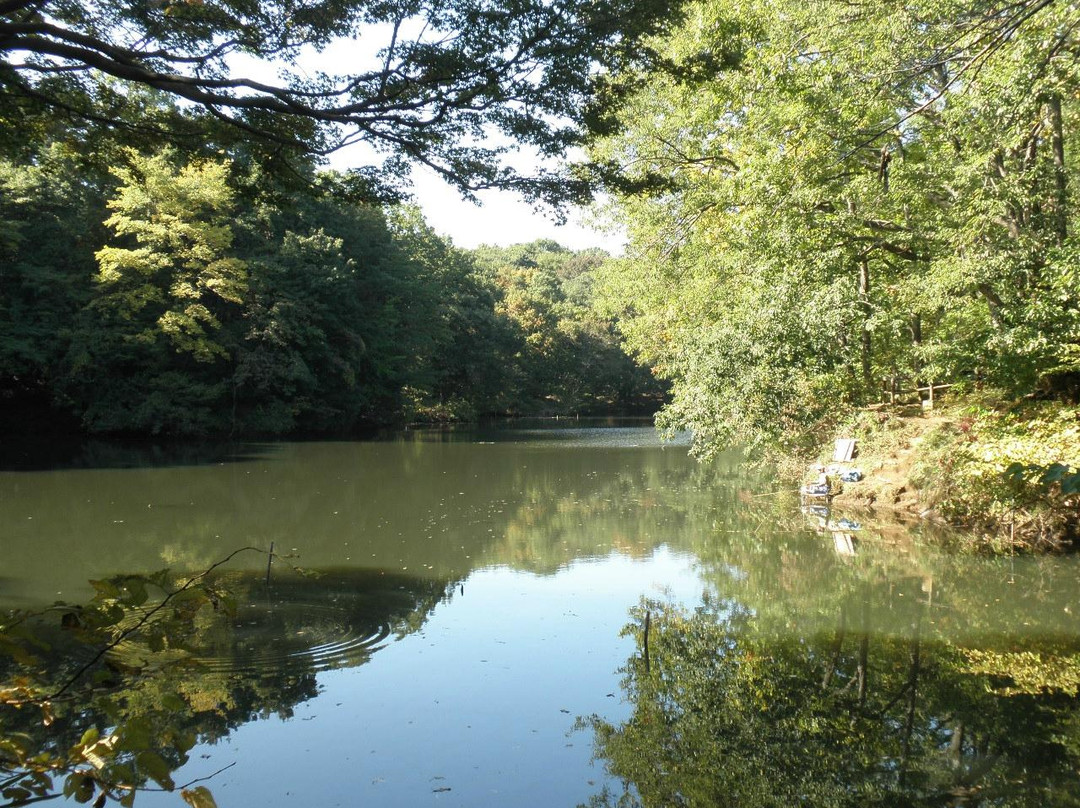 Lake Shinsei-秦野市必去景点