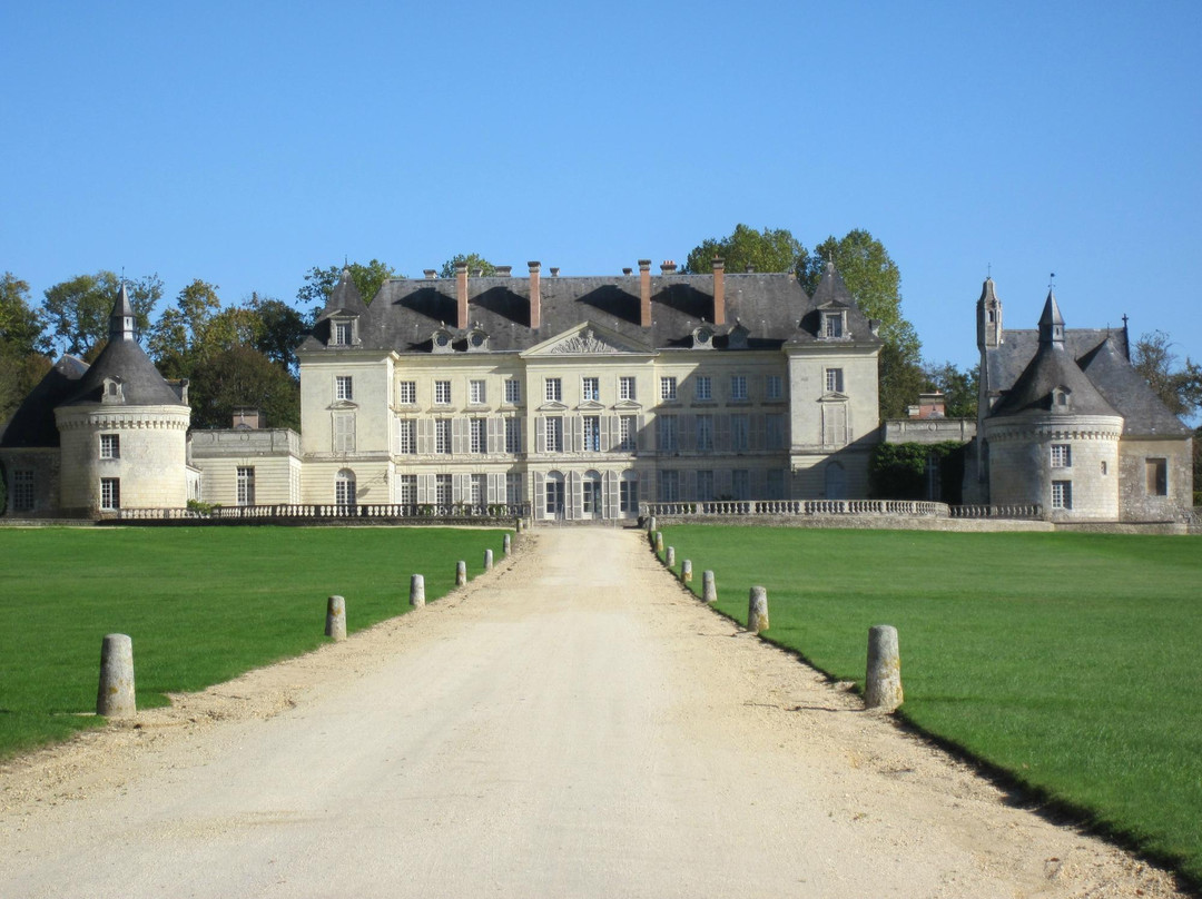 Chateau de Montgeoffroy景点图片