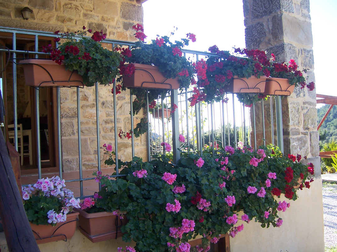 Akros Oreon Green Small Hotel主图