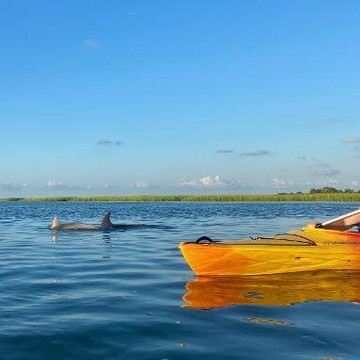 Castaway Island Excursions-查尔斯顿必去景点