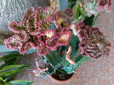 省安度假中心主图