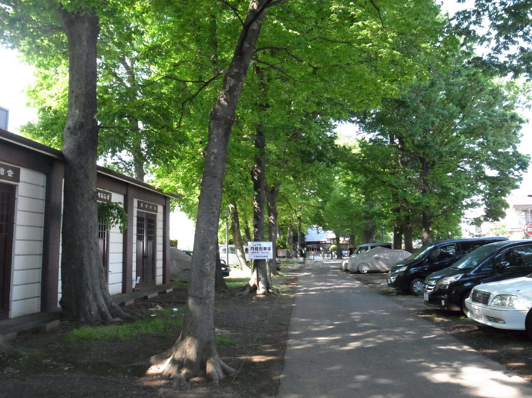 Hiratsuka Shrine-北区必去景点