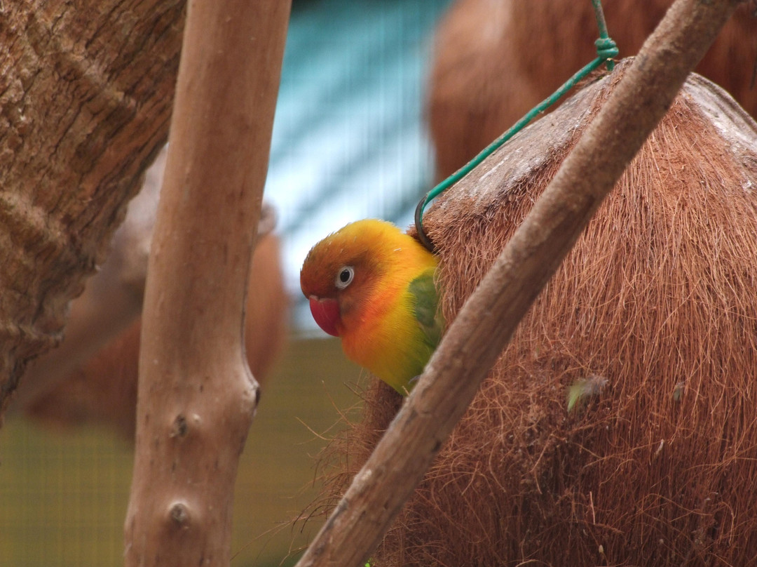 蝴蝶山庄-爱极乐必去景点