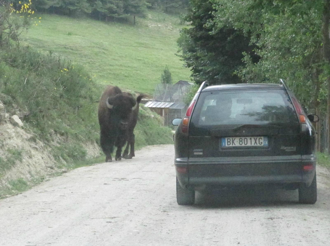 Parco Safari delle Langhe-Murazzano必去景点
