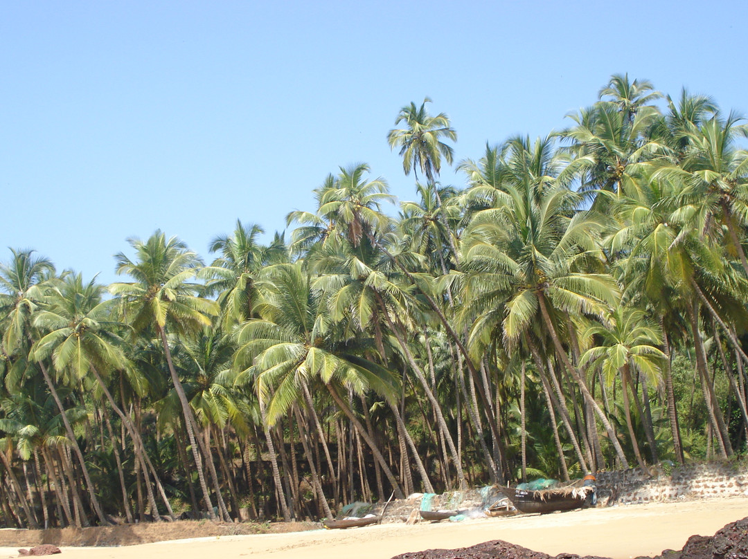 Khola Beach-格纳戈纳必去景点