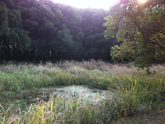 淀山湖-上海市必去景点