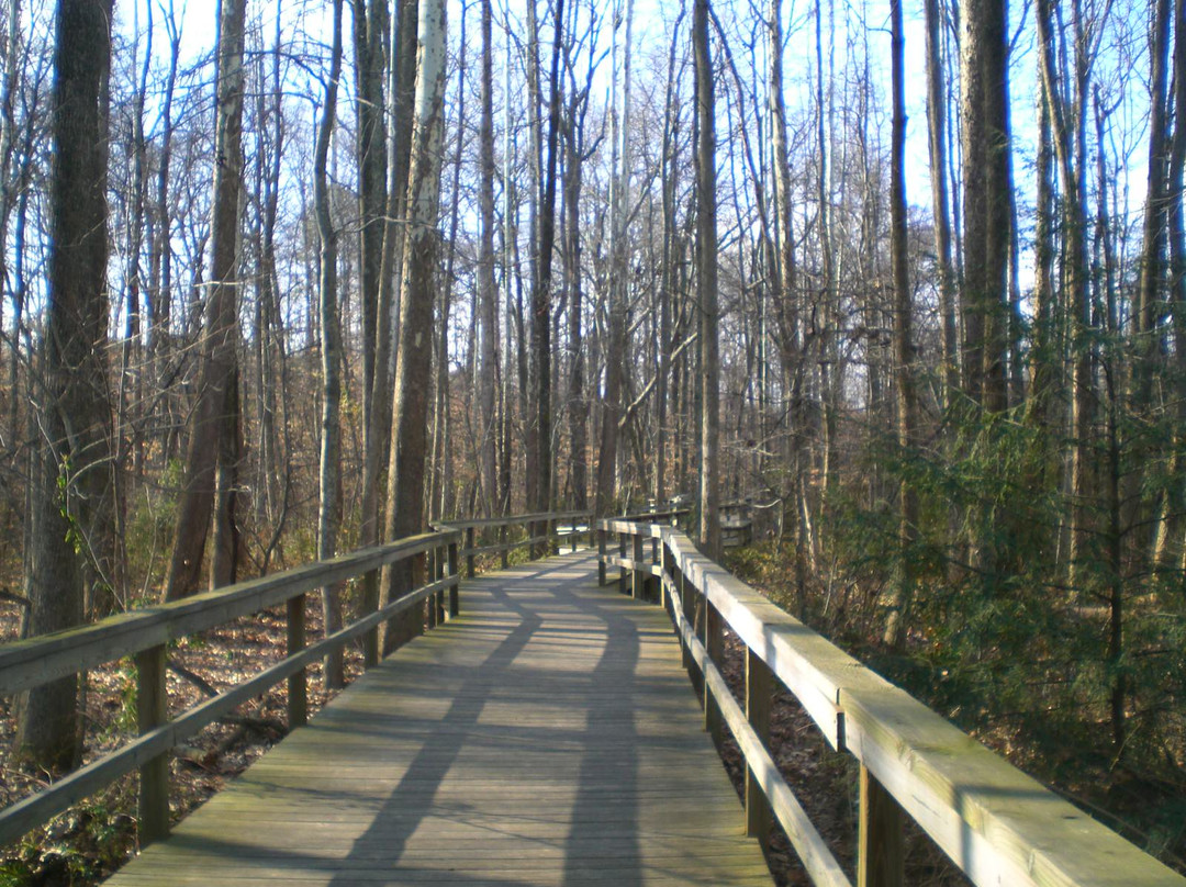 The Bog Garden at Benjamin Park景点图片