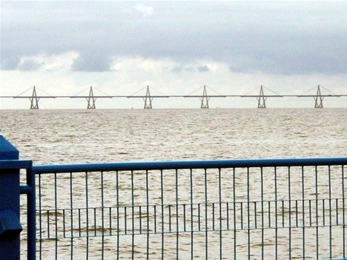 La vereda del lago Maracaibo景点图片
