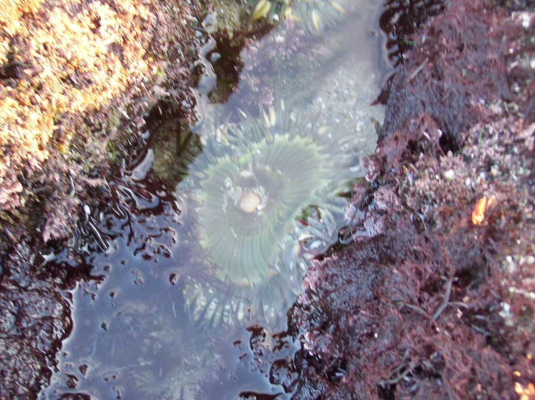 拉霍亚海滩-拉荷亚必去景点