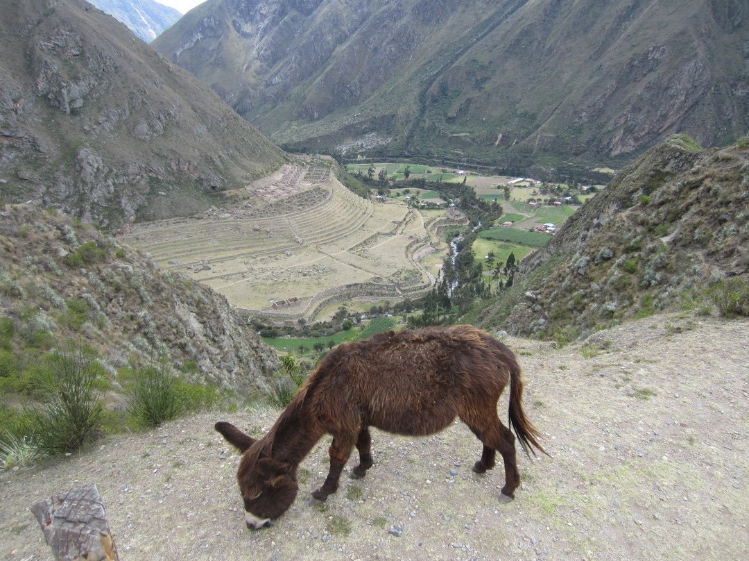 Llaqtapata-马丘比丘必去景点