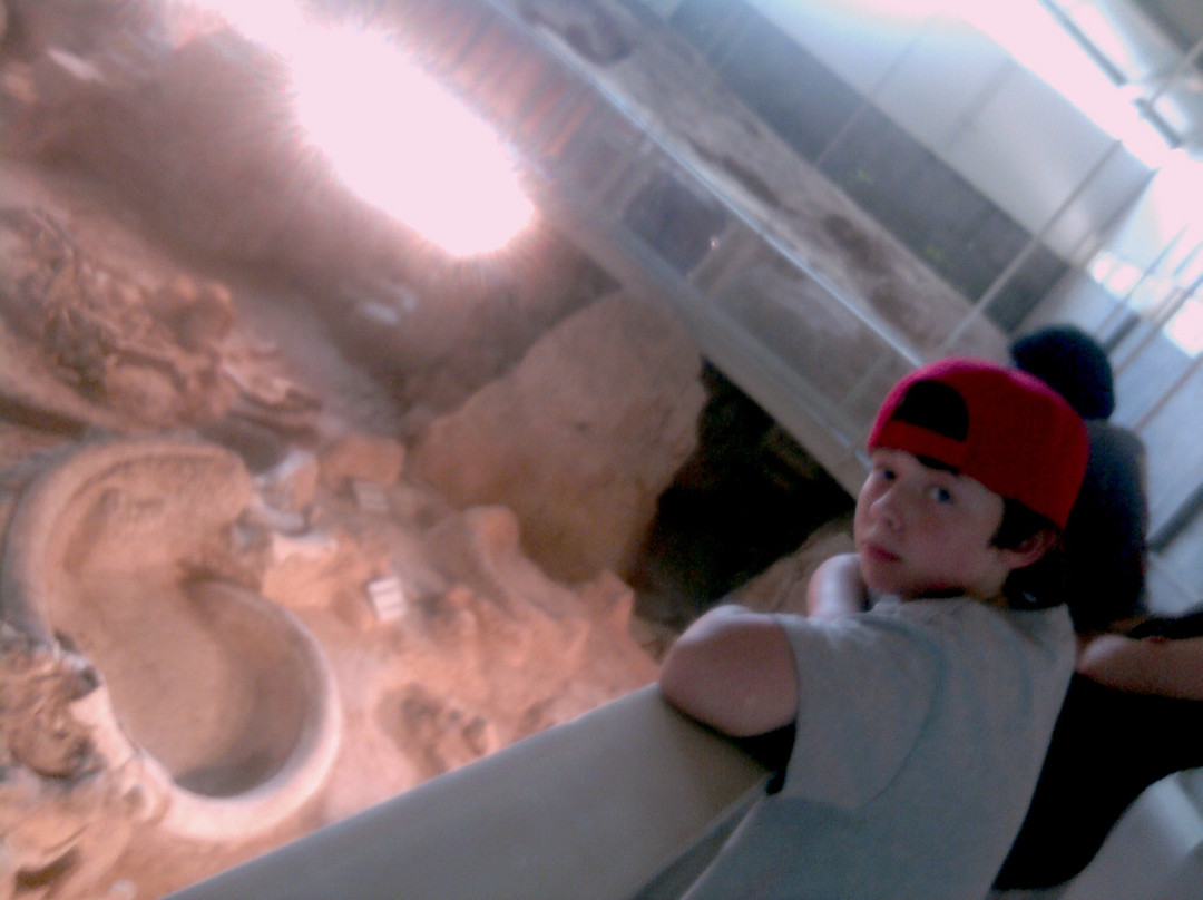 Waco Mammoth National Monument-韦科必去景点