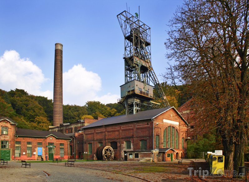 Landek Park Mining Museum景点图片