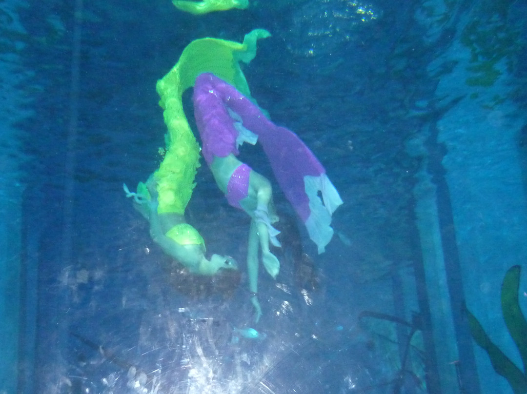 极地海洋世界-青岛市必去景点