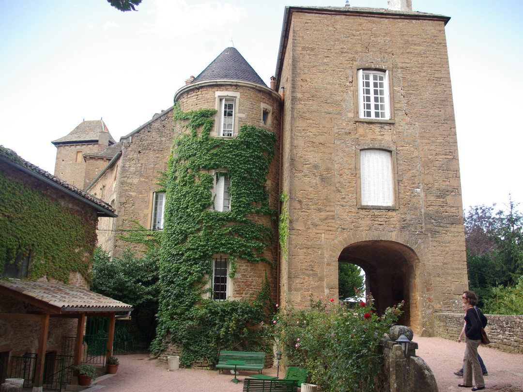 Chateau de Salornay景点图片