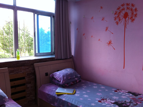 白桦林国际青年旅舍主图