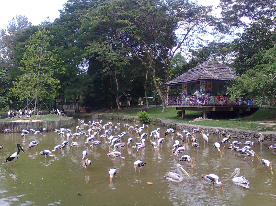 国家动物园-安邦必去景点