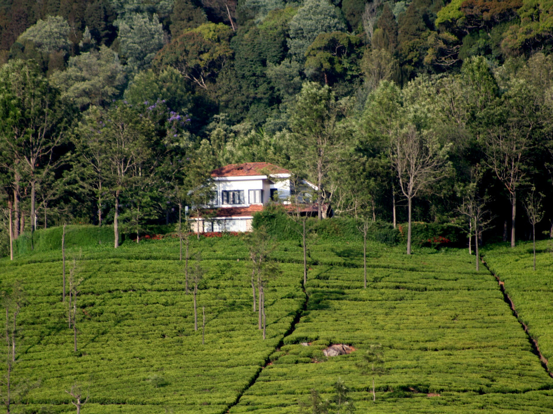 Tranquilitea Plantation Home Stay