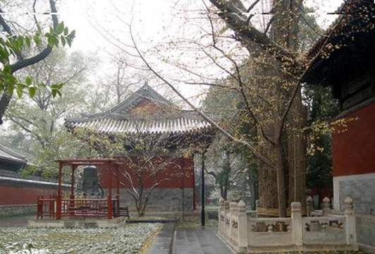 北京市卧佛山庄主图