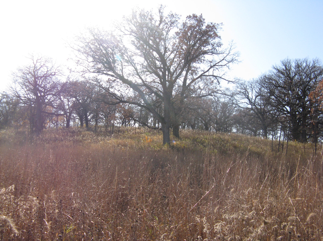 Neal Smith National Wildlife Refuge and Prairie Learning Center-Prairie City必去景点
