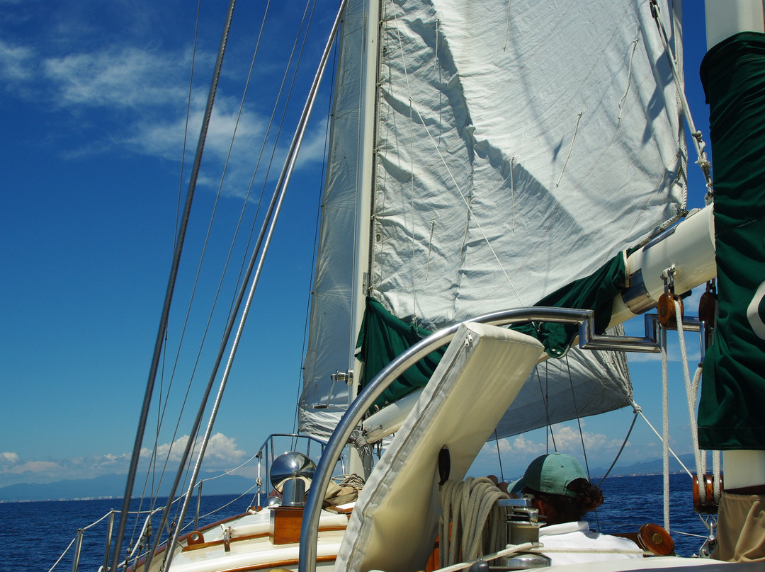 Marina Vallarta-瓦拉塔港必去景点