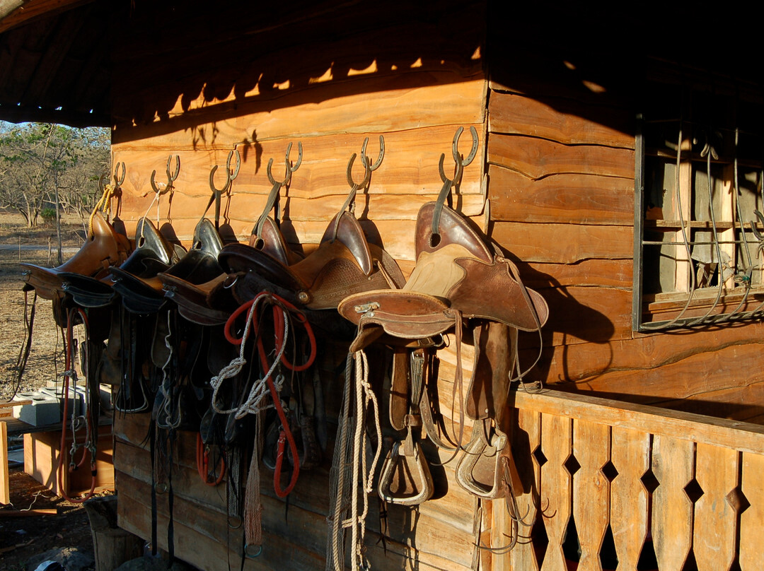 Black Stallion Eco Park & Estates景点图片