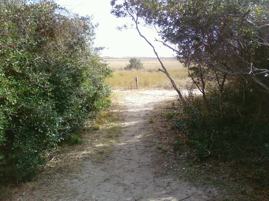 Fort Fisher State Recreation Area景点图片