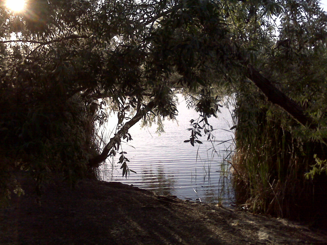 Guajome County Park-欧申赛德必去景点
