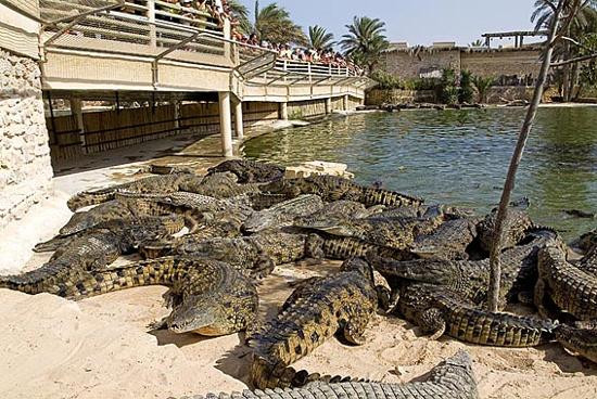 Park Djerba Explore-米栋必去景点