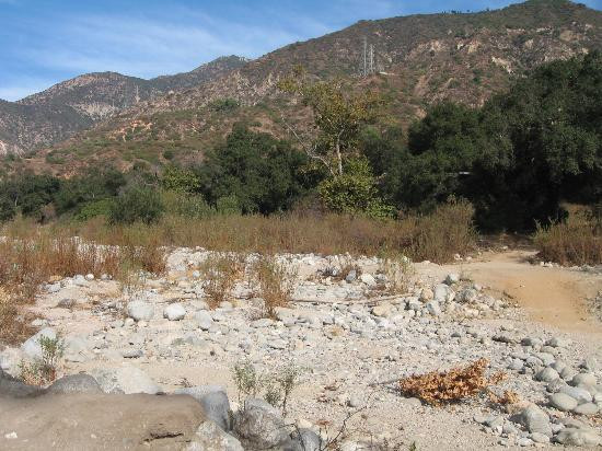 Eaton Canyon Natural Area景点图片
