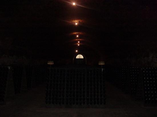 Cantina Contratto景点图片