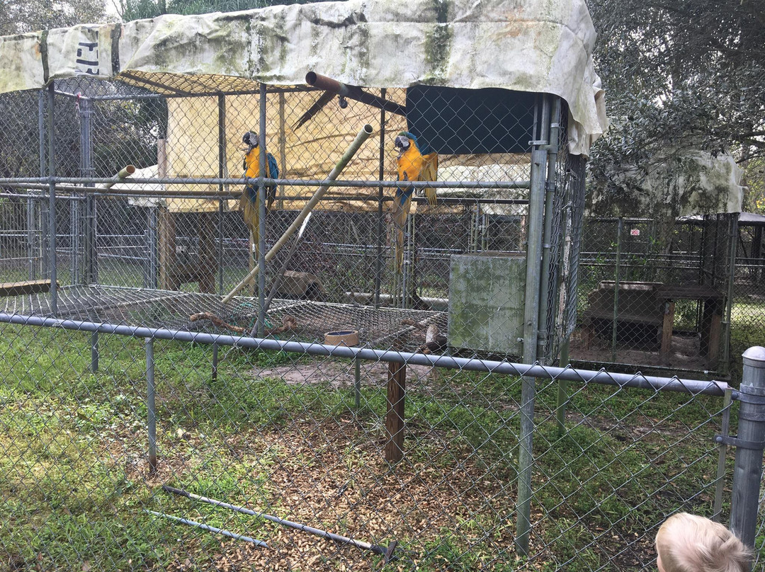 Lions, Tigers & Bears-阿卡迪亚必去景点