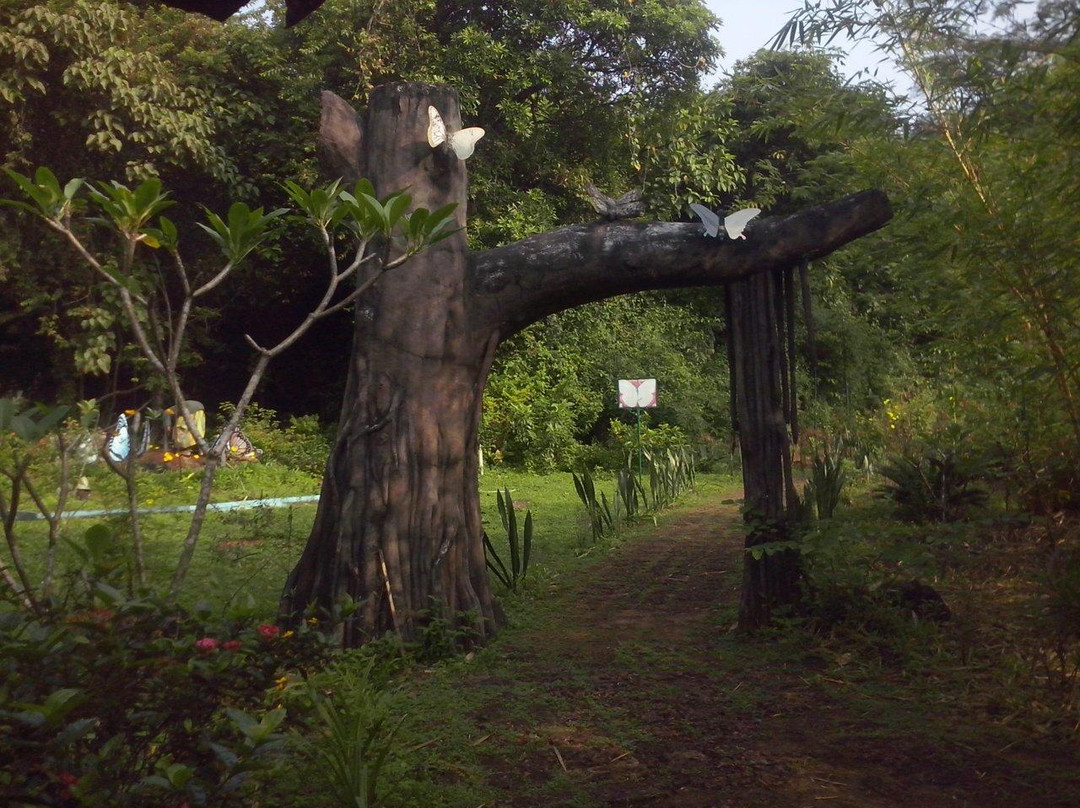 Butterfly Safari Park景点图片