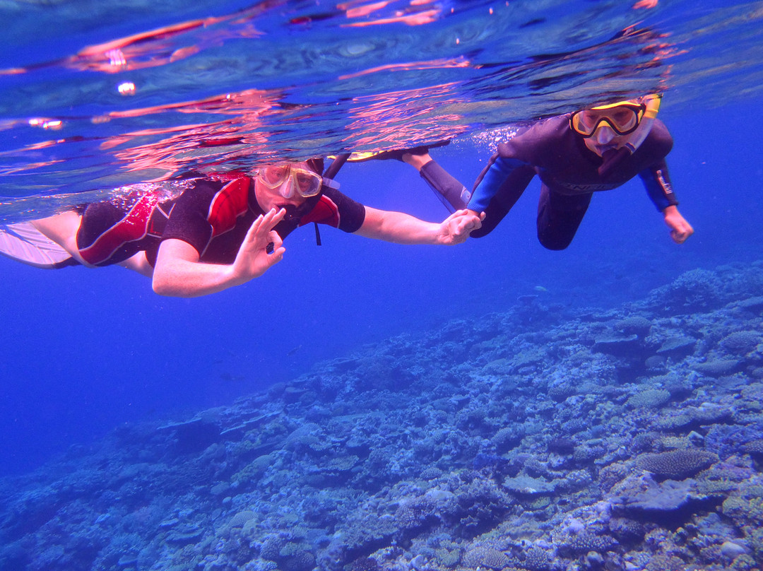 Hakau Adventures Day Cruises-Neiafu必去景点