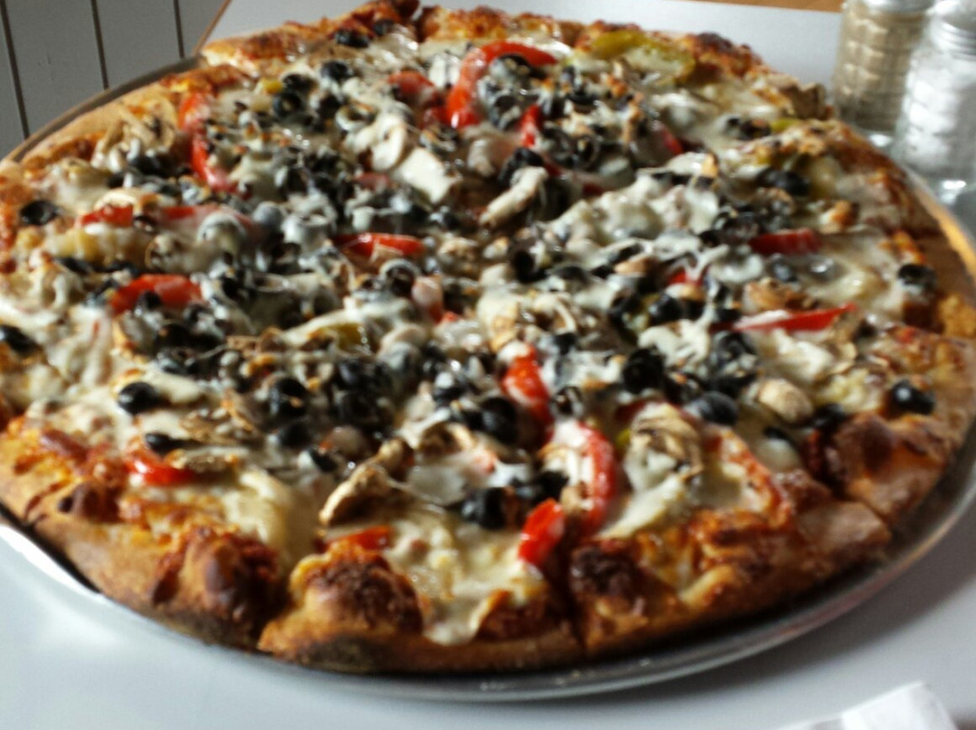 The Salty Dawg Highway 101