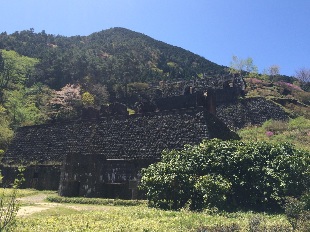 新居滨市旅游攻略图片