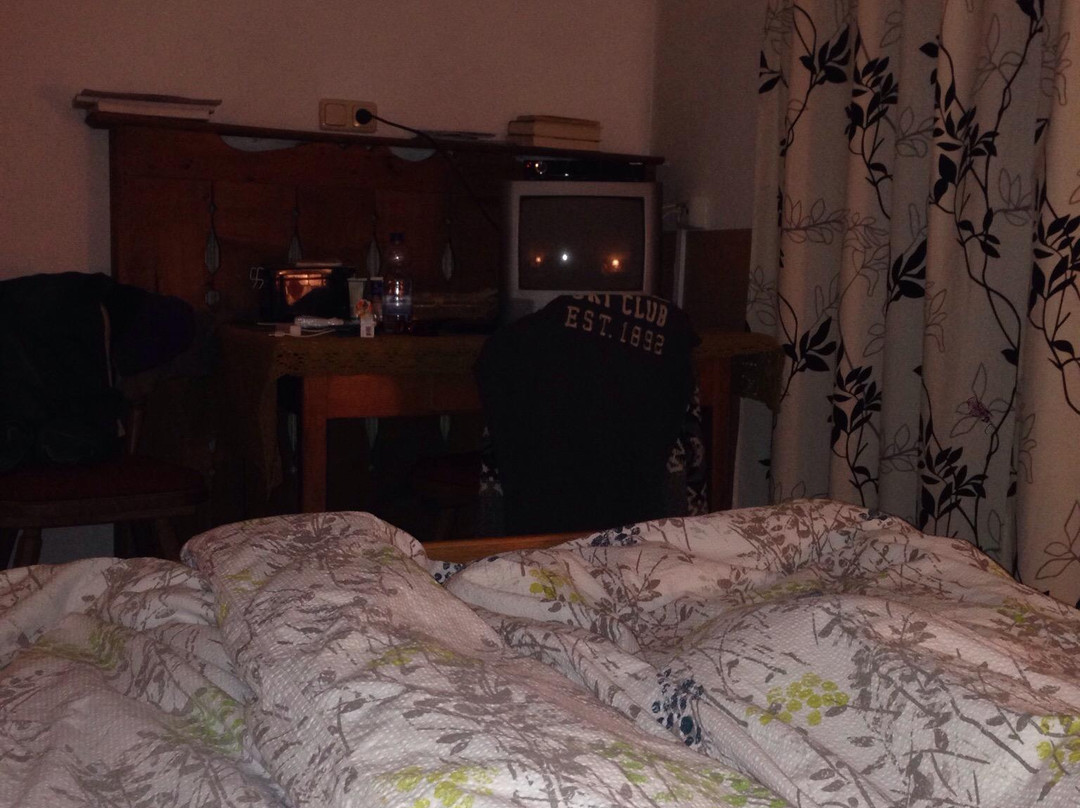 Zams酒店住宿-Bauernhof Bio Bauernhof