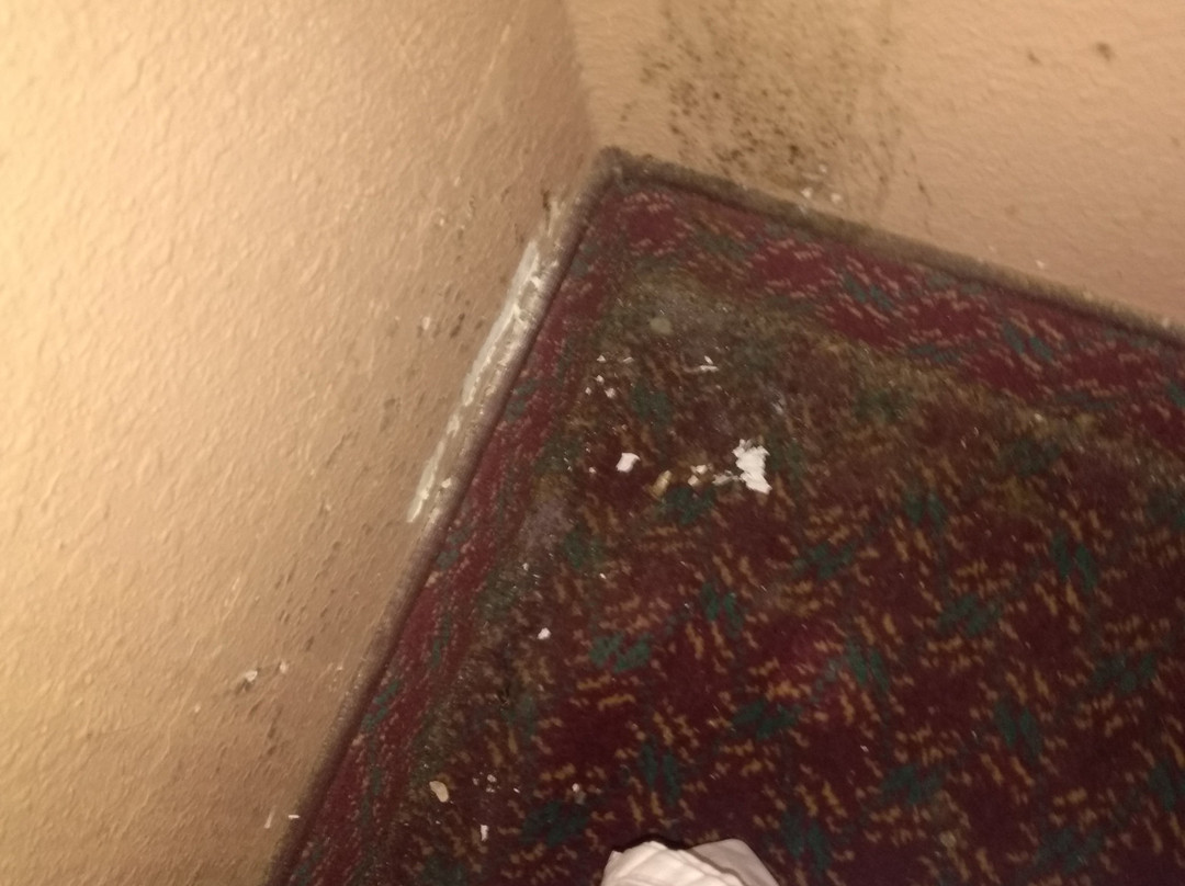 Economy Inn - Bay St Louis