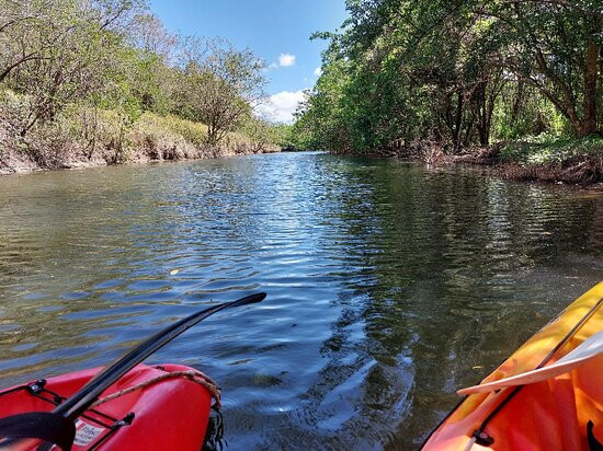 Kayak Aventure Mangrove-Ducos必去景点
