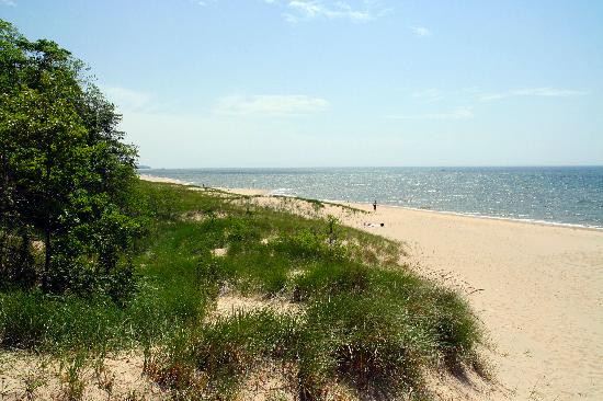 Saugatuck Dunes State Park景点图片